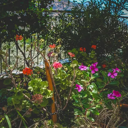 Natureland Efes Aparthotel