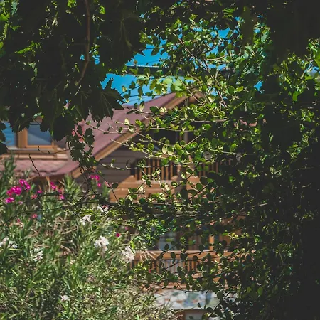 埃菲斯自然酒店 3*