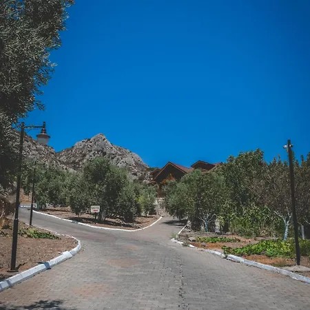 公寓式酒店 埃菲斯自然酒店