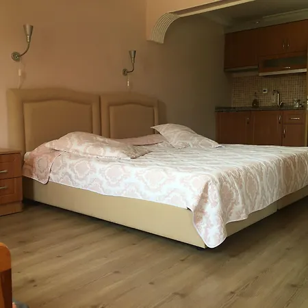 埃菲斯自然酒店 3* 塞尔丘克