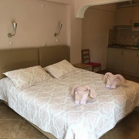 埃菲斯自然酒店 公寓式酒店 3*