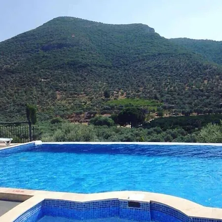 埃菲斯自然酒店 3*