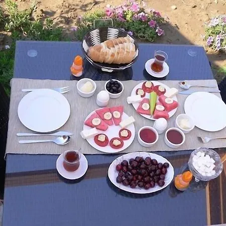 公寓式酒店 埃菲斯自然酒店