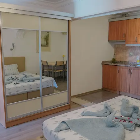 埃菲斯自然酒店 3* 塞尔丘克