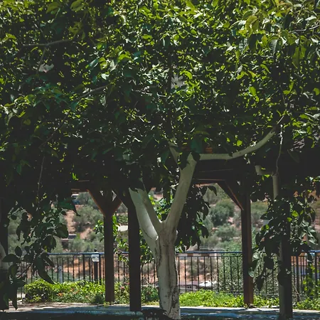 埃菲斯自然酒店 公寓式酒店 塞尔丘克