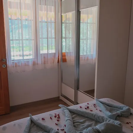 埃菲斯自然酒店 3*