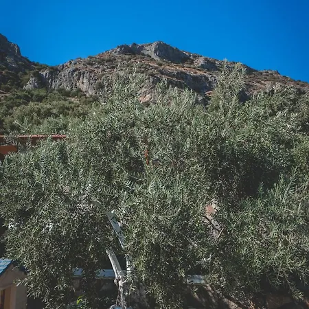 شقة فندقية بنسيون ناتور لاند ايفاس