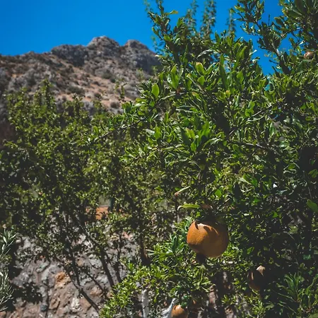 بنسيون ناتور لاند ايفاس 3* سلجوك