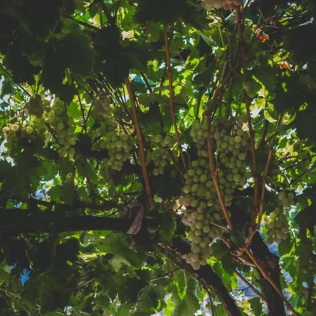 Natureland Efes Апарт-отель