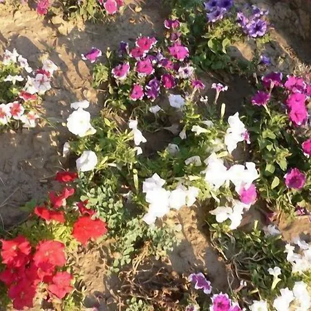 Natureland Efes Ξενοδοχείο με διαμερίσματα Σελτσούκ