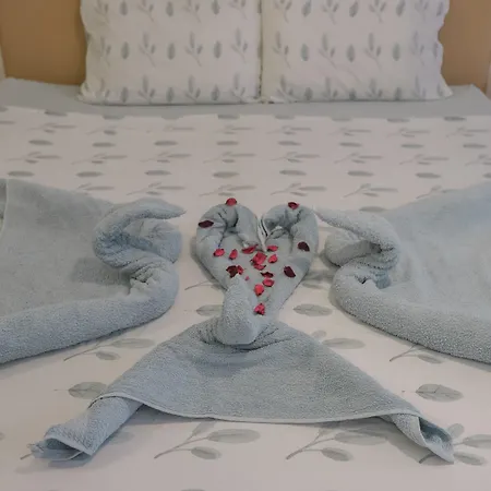 بنسيون ناتور لاند ايفاس